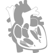 جراحة القلب والأوعية الدموية - GVM International